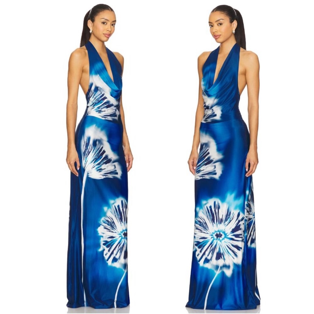 Especia Moonflower Long Dress in Blue & White Maxi Formal Gown